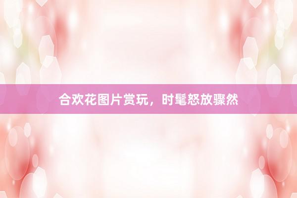 合欢花图片赏玩，时髦怒放骤然
