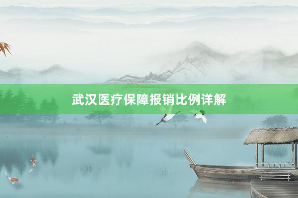 武汉医疗保障报销比例详解